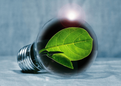 Future First Sustainability—The Equinix Green Data Center Initiative